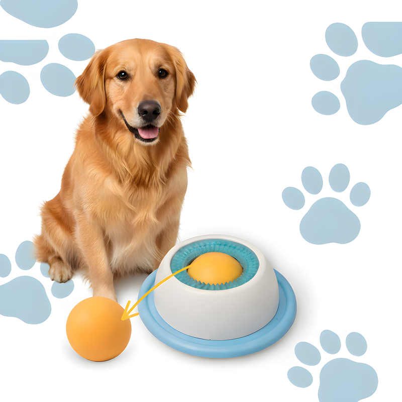 slow feeder - treat bowl